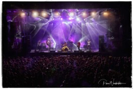 köterhai & flowfish booking